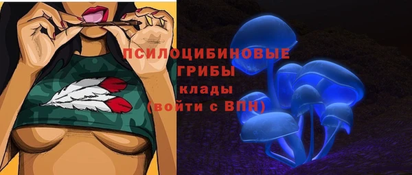 дмт Костерёво