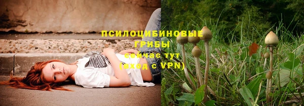 первитин Каменка