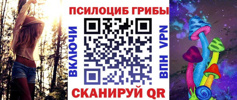 мориарти Telegram  Архангельск  Псилоцибиновые грибы MAGIC MUSHROOMS  где купить наркотик 