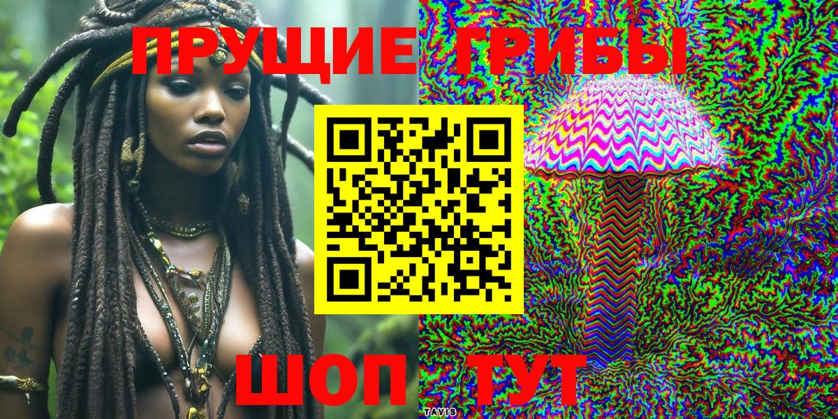 Псилоцибиновые грибы Psilocybine cubensis  Галлюциногенные грибы мухоморы  Архангельск 