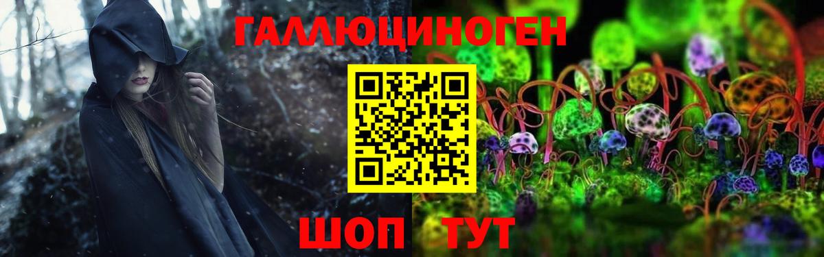 Псилоцибиновые грибы Psilocybine cubensis Архангельск
