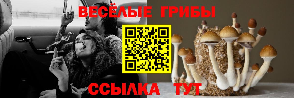 Псилоцибиновые грибы Cubensis  Вход с VPN  Архангельск 