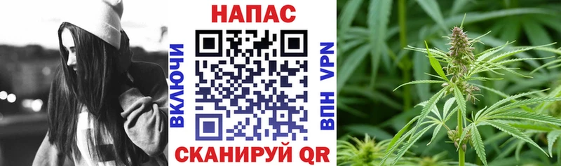 Шишки марихуана индика  это состав  Архангельск  сколько стоит 
