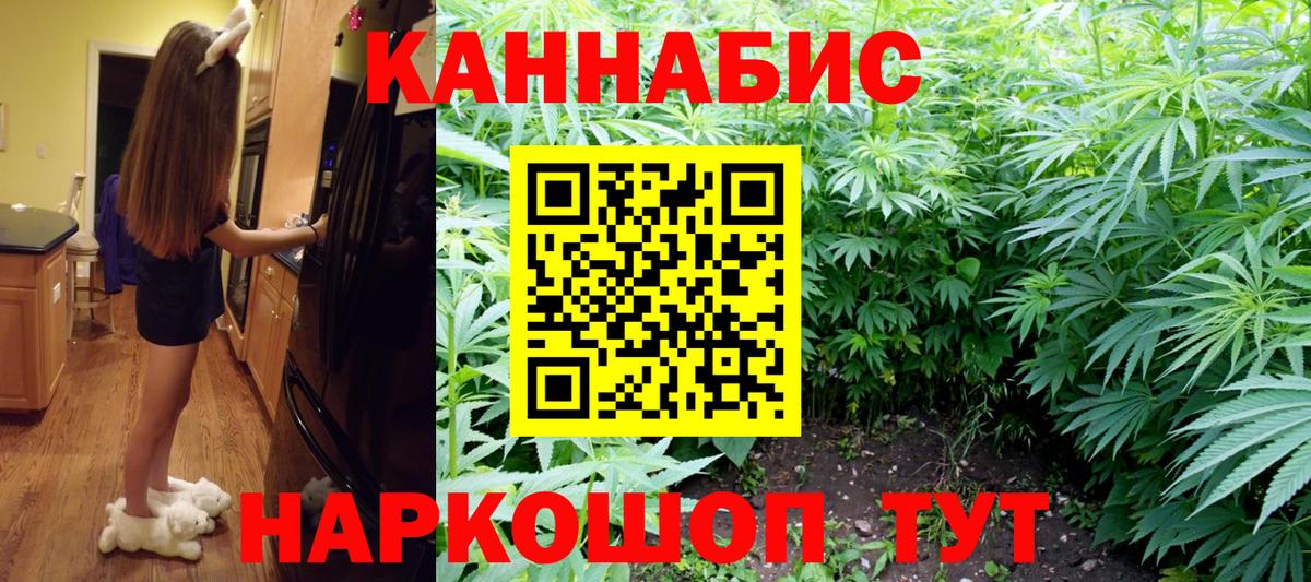 Каннабис ГИДРОПОН  Архангельск  Марихуана сатива 